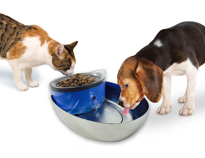 Pioneer Pet Stainless Steel and Plastic Water Food Bowl Drinking Fountain