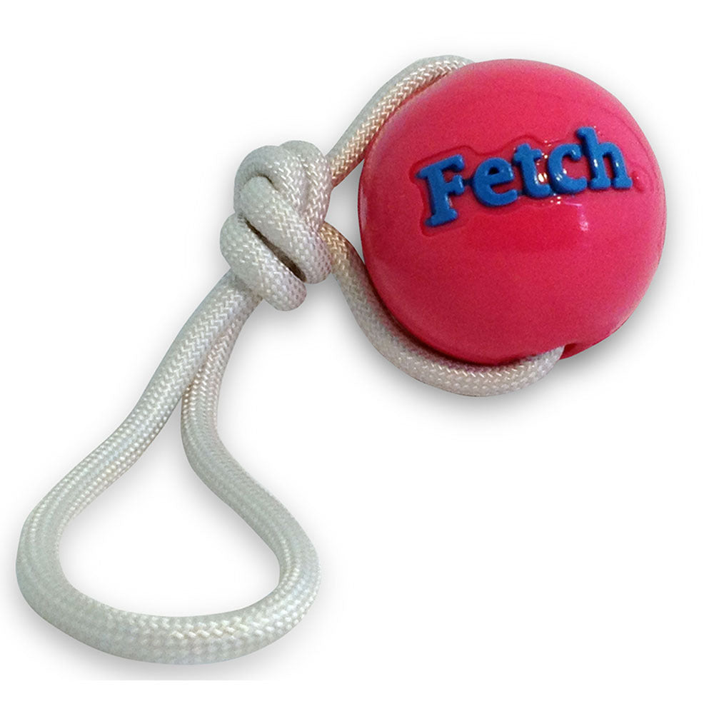 Planet Dog Orbee Tuff Fetch Ball Tough Dog Toy with Rope - Green