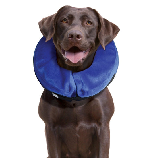 1 x KONG Cloud Collar [Size: Large]