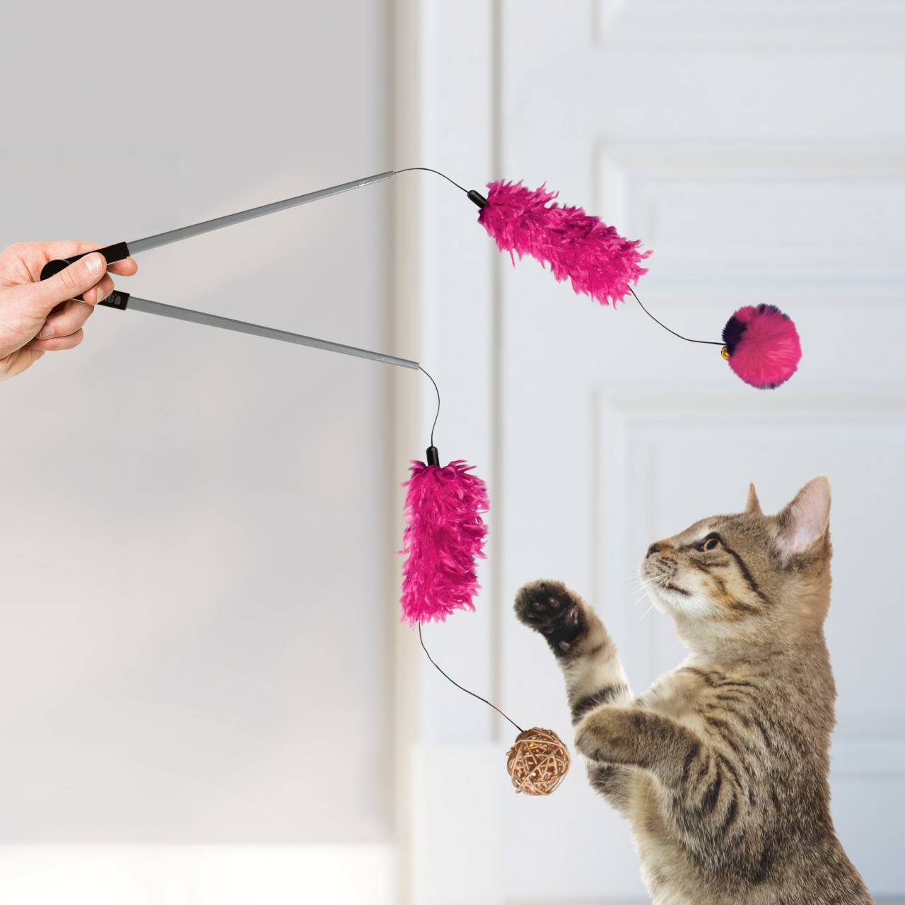 4 x KONG Teaser Tweezerz Cat Wand Toy in Assorted Colours Bulk