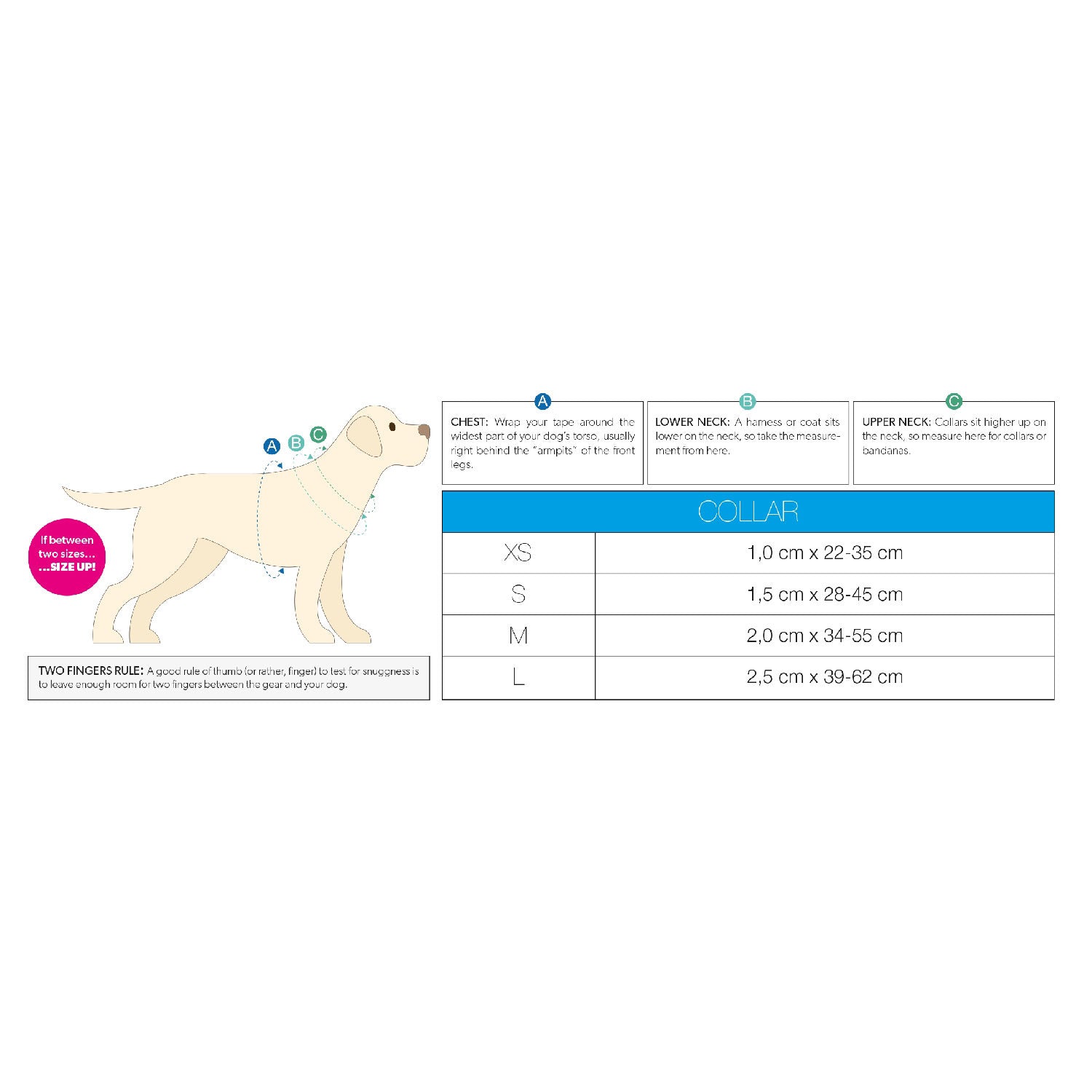 Max & Molly Smart ID Dog Collar - Ruler - X-Small