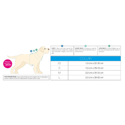 Max & Molly Smart ID Dog Collar - Ruler - Small