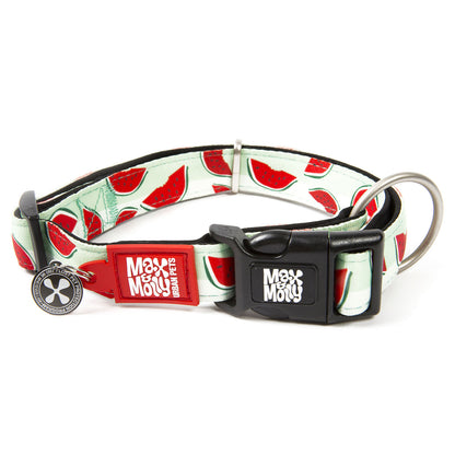 Max & Molly Smart ID Dog Collar - Watermelon - Small