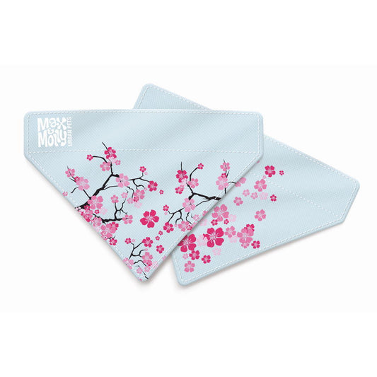 Max & Molly Bandana for Cats & Dogs - Cherry Bloom - Small