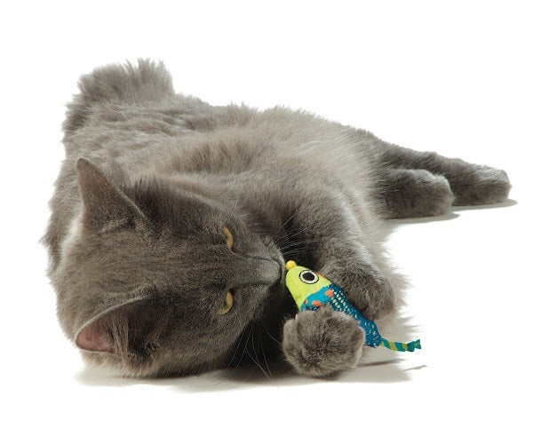 Petstages Catnip Chew Mice - Pair of Dental Care Cat Toys