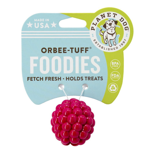 Planet Dog Orbee-Tuff Treat Dispensing Dog Toy - Raspberry