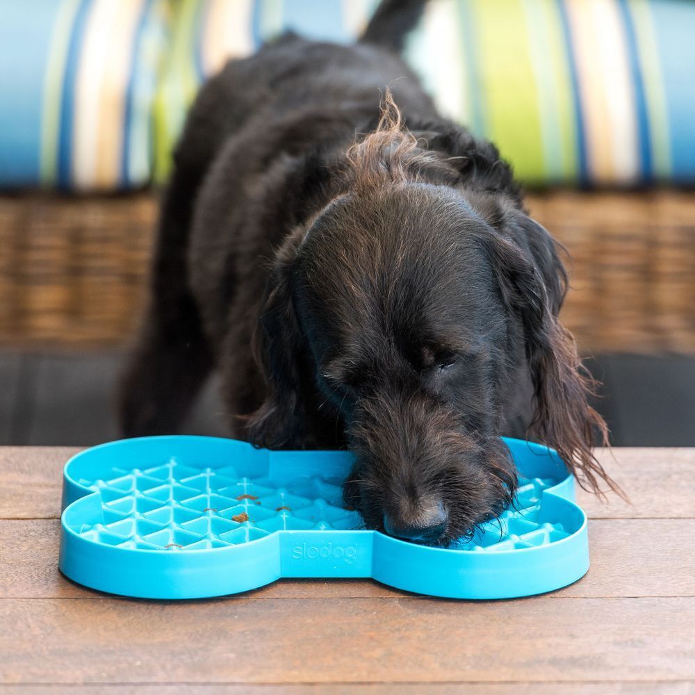 SloDog No Gulp Bone-Shaped Slow Food Bowl for Dogs - Green