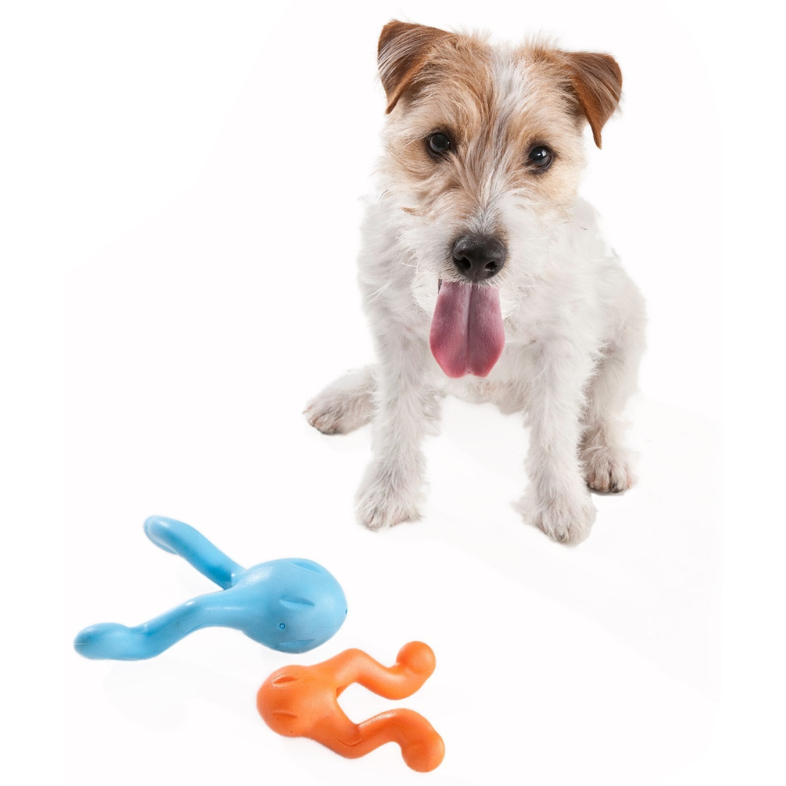 West Paw Tizzi Treat & Tug Toy for Tough Dogs - Small - Blue