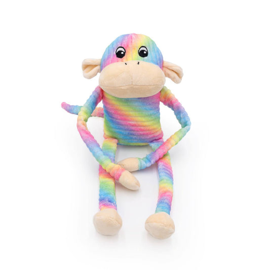 Zippy Paws Spencer the Crinkle Monkey Long Leg Plush Dog Toy - Large Rainbow 