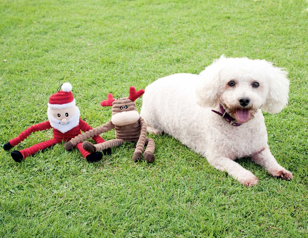 Holiday Crinkle - Santa - Small