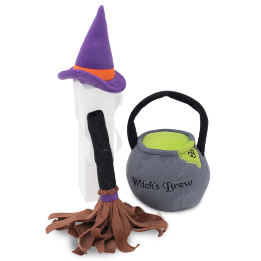 Halloween Costume Kit - Witch