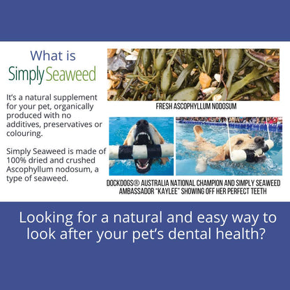 Simply Seaweed Natural Dental Health Care for Cats & Dogs - 200g